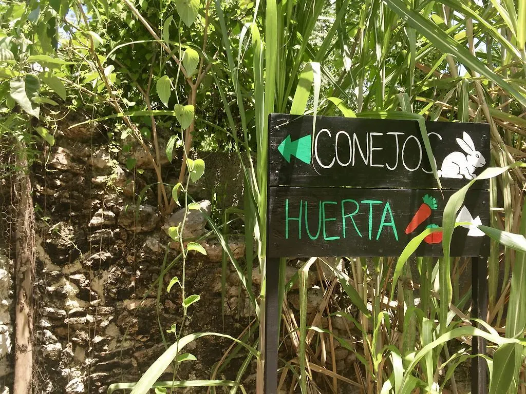 Yaxche Centro Hostal y Camping Bacalar Messico