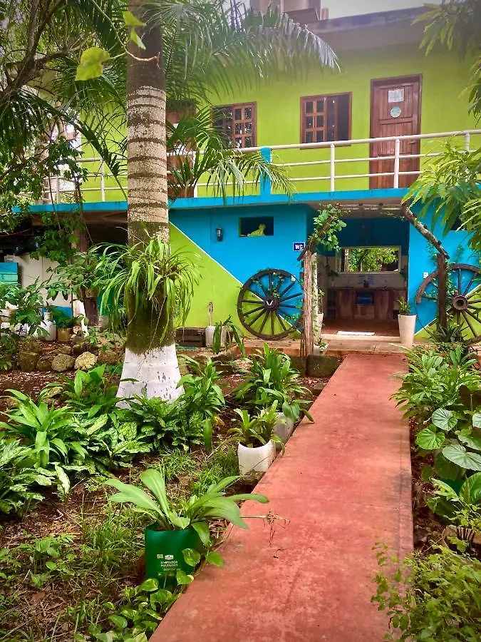 Yaxche Centro Hostal Y Camping باكالار بيت شباب